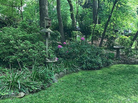 Welcoming front yard