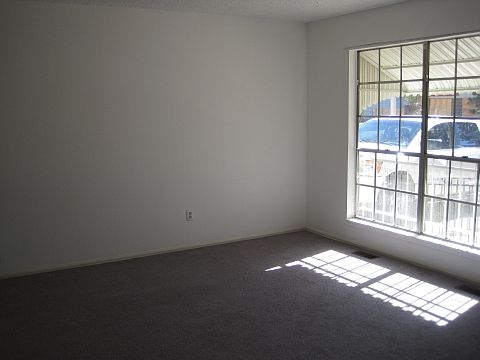 Lots of natural light.