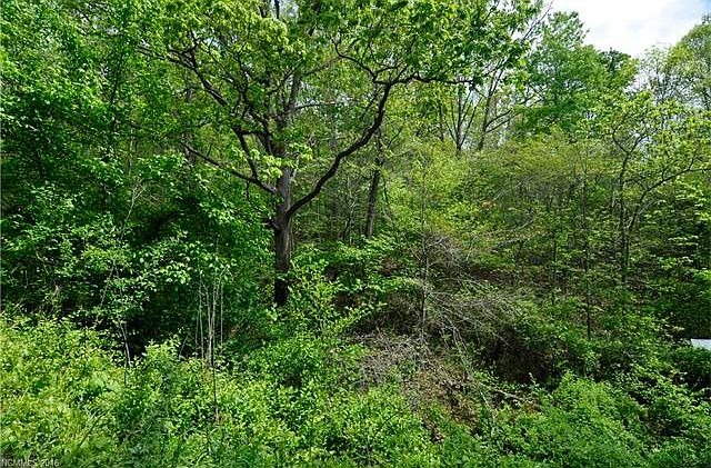 2nd image of 65 Dock Branch Rd