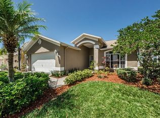 1766 Split Fork Dr, Oldsmar, FL 34677
