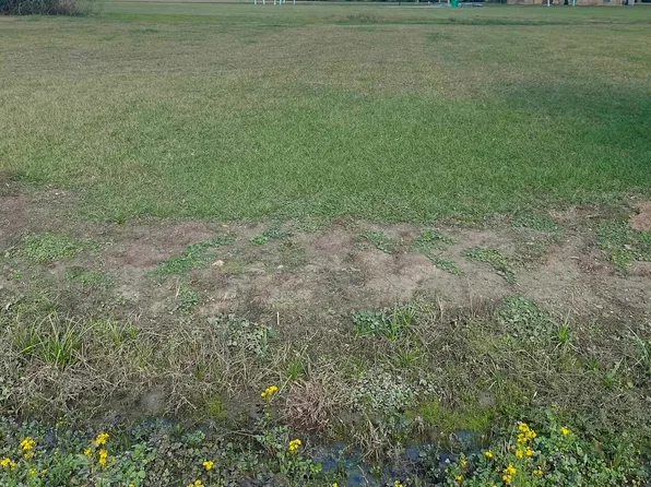 LOT 14 Roy St, Plattenville, LA 70393