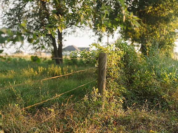 3rd image of 0 County Road 429