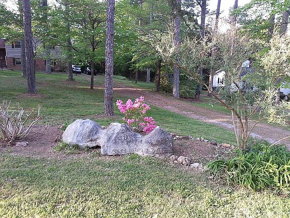 Front yard from street