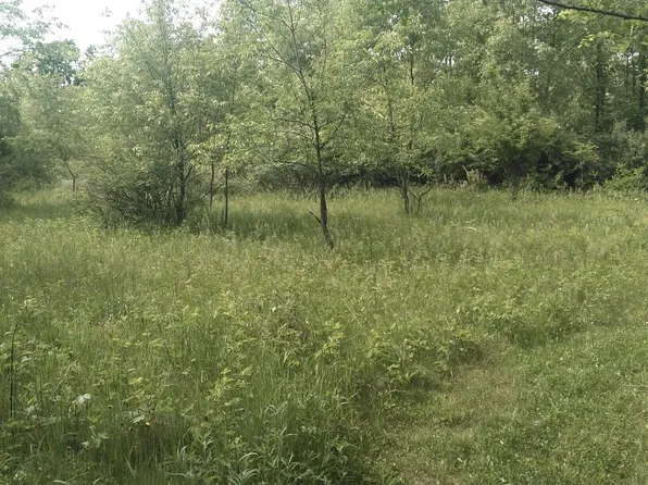 0 Forest Shores Dr, Cassopolis, MI 49031