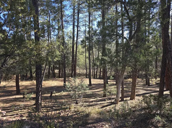 LOT 18 N Strawberry Holw, Pine, AZ 85544