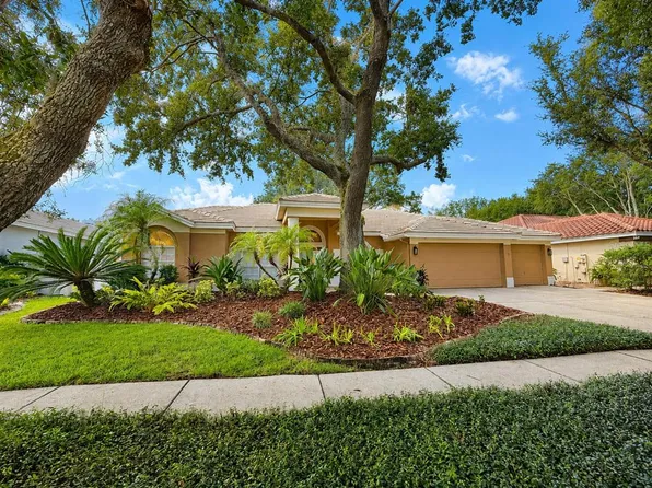 9323 WELLINGTON PARK CIRCLE, TAMPA, FL 33647