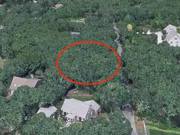 36 Boylston Dr, Edgartown, MA 02539