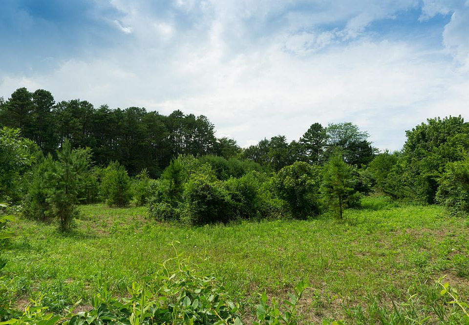 2nd image of 7707 Strawberry Plains Pike