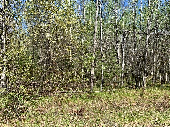 5th image of 11-12 Thirteen Tall Pines Dr