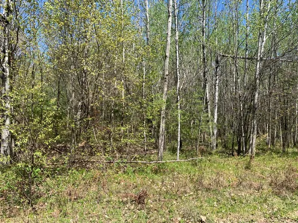 5 Pinewood Ct #Lac, Lac Du Flambeau, WI 54538