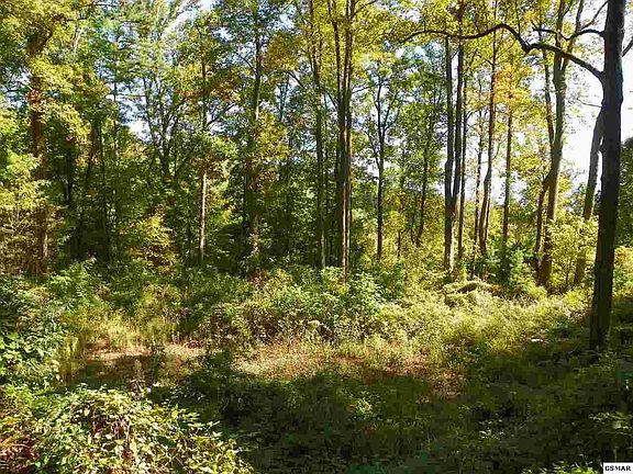 2nd image of 25402538 Bluff Mountain Rd Lot 7 & 8
