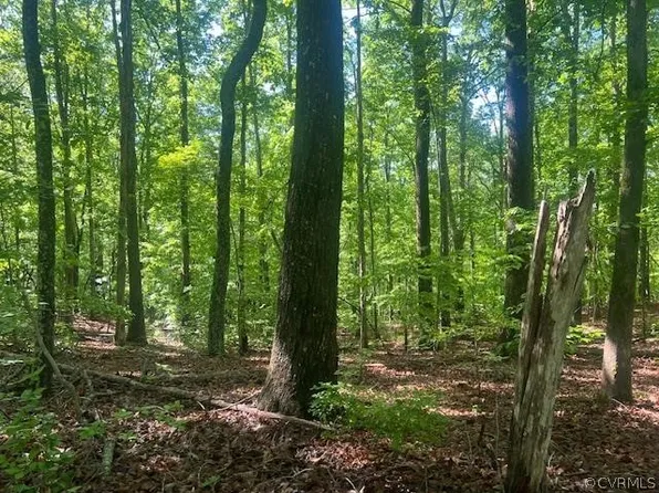 0 Davis Ln #25, Drakes Branch, VA 23937