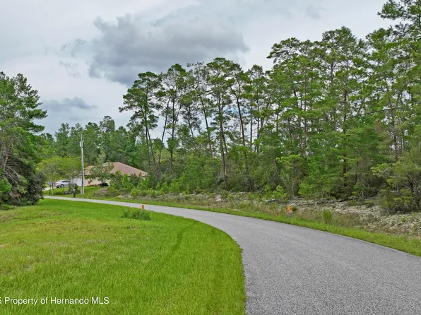 8541 N Newmark Way, Citrus Springs, FL 34433