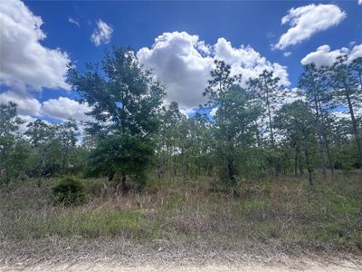 NE 15oth Ct Lot 24, Williston, FL, 32696