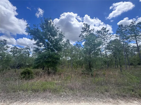 NE 15oth Ct Lot 24, Williston, FL 32696