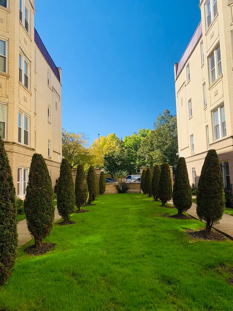 2 bed, 1000 sqft, $1,900 — Photo 4