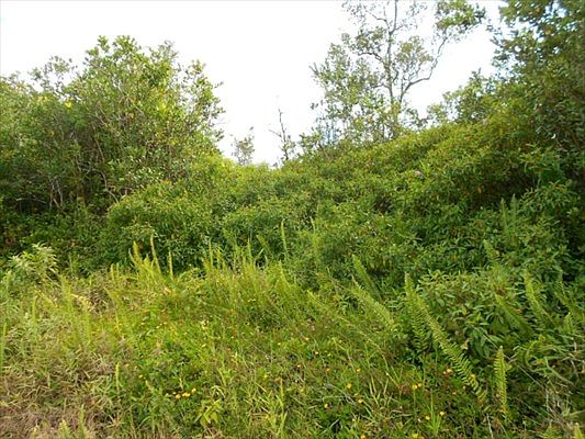 3rd image of Pohaku Cir Lot 8270