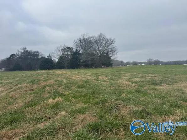 TRACT 6 State Highway 99, Elkmont, AL 35620