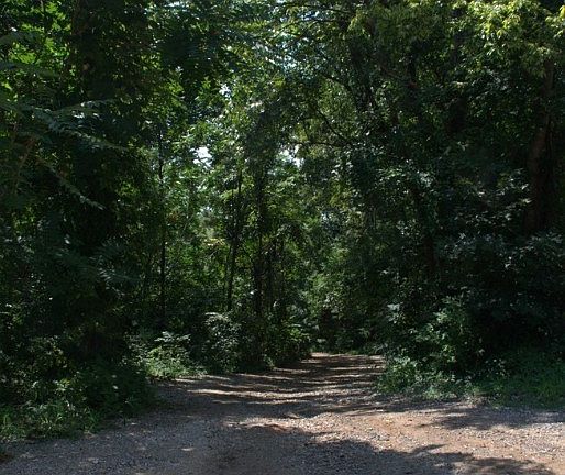 3rd image of N 71st Hwy