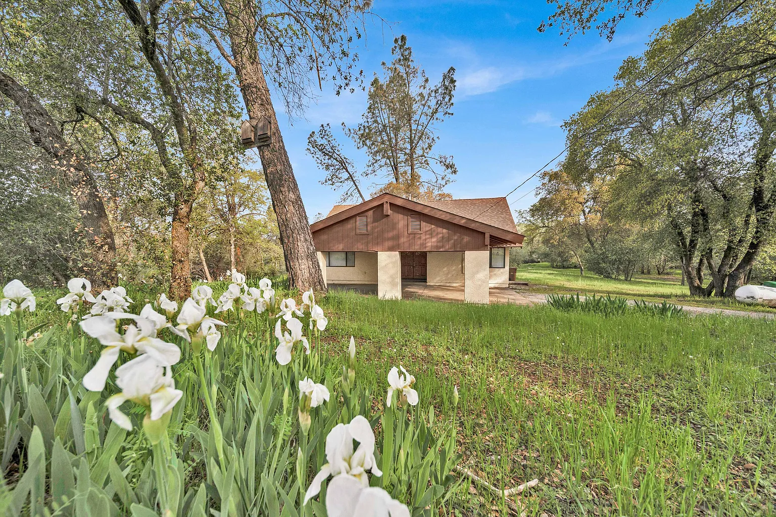 13373 Hidden Oaks Trl photo 1