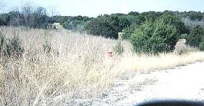 1st image of 4008 Ponca Dr