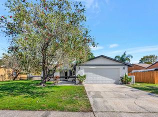 435 Lakeview Dr, Oldsmar, FL 34677