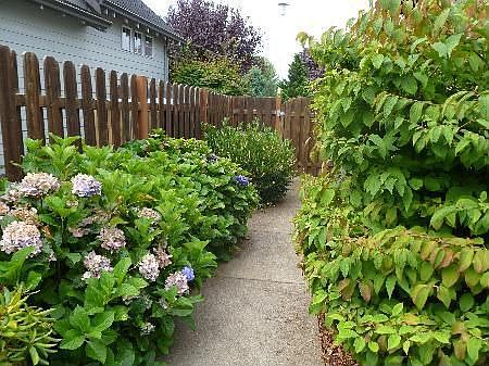 Side Yard