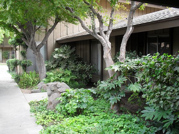 Walkway of Property
