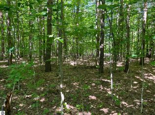 0 W Beeman Rd, Empire, MI 49630