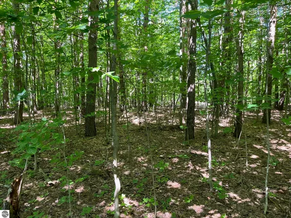 0 W Beeman Rd, Empire, MI 49630