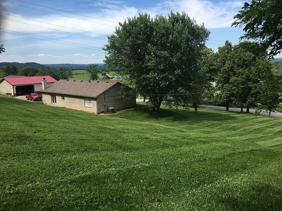 Looking out on the property