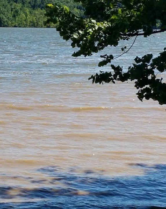 1st image of N1828 River Forest Dr