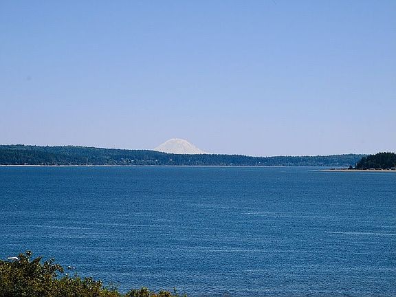 Mount Rainier in background
