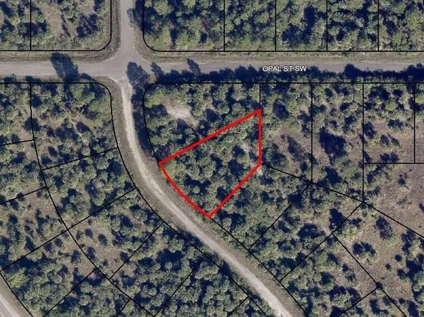 3041 Libby Ave SW, Palm Bay, FL 32908