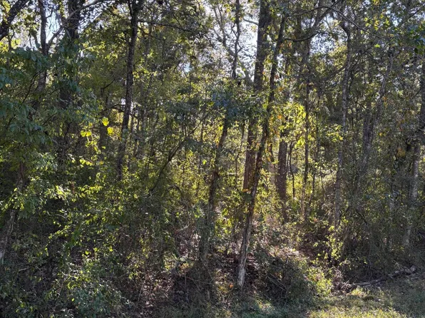 0 Tanglewood Dr, Abbeville, LA 70510