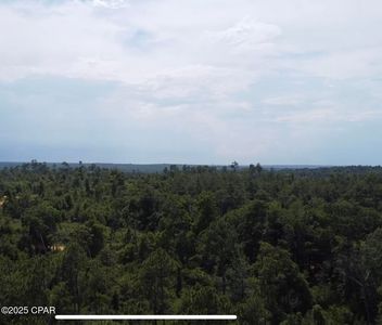 0 Edison Ave, Alford, FL, 32420