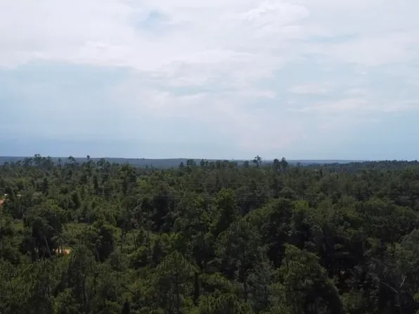 0 Edison Ave, Alford, FL 32420