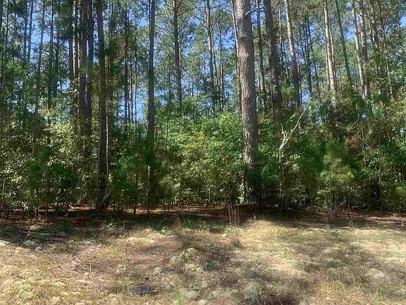 4th image of 325 Little Creek Dr
