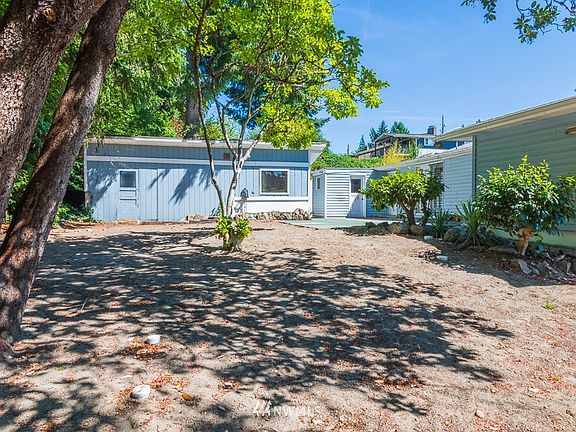 Partially wooded back yard.