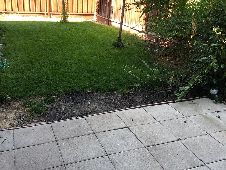 113 Sierra Dr — Photo 13