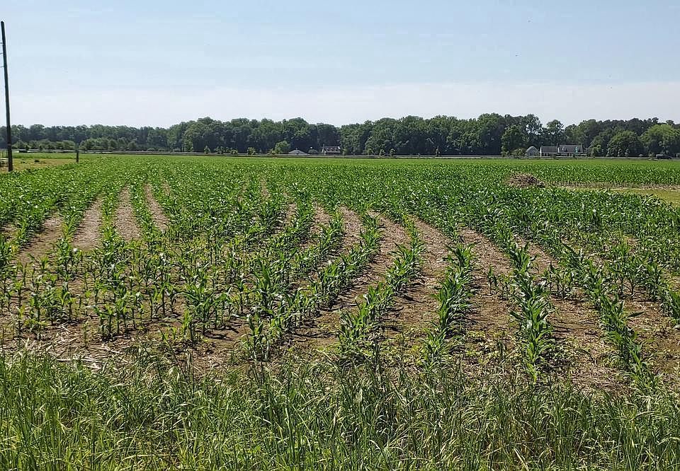 2nd image of 0 Newark Rd