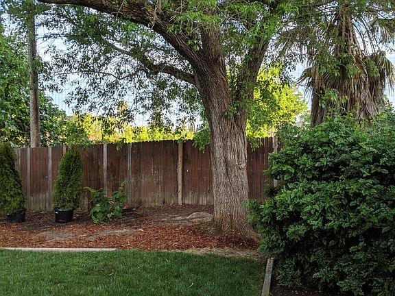 Lush and private backyard