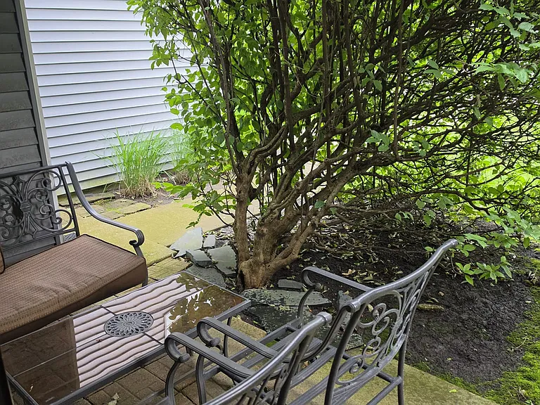 466 Tyler Ct — Photo 16