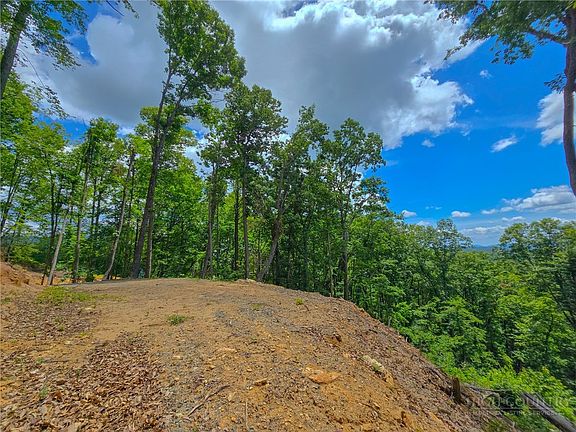 5th image of Lot 121 Wildcat Wilderness Parkway