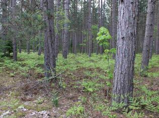 Keffer Rd, Kingsley, MI 49649