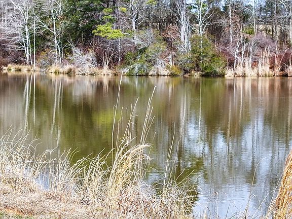 2nd image of 0 Colvin Dr