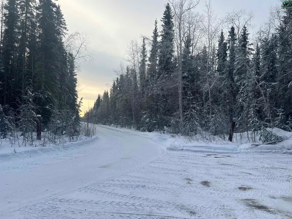 Nhn Country Rd, Salcha, AK 99714