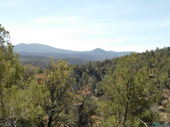 18 W Rivers Rd, Reserve, NM 87830