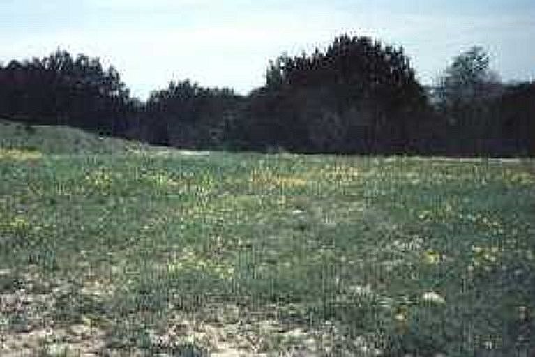 1st image of 1008 Hopi Ct