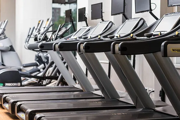 Rented by The Monterey | media 38